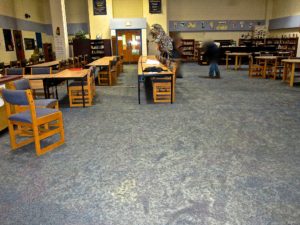 IMC - Overview - Mold all over Carpet